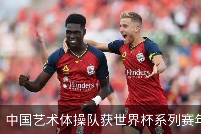 中国艺术体操队获世界杯系列赛年度“双料”第一