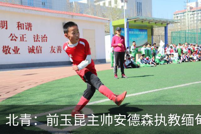 北青：前玉昆主帅安德森执教缅甸国家队，亚洲足坛执教履历丰富