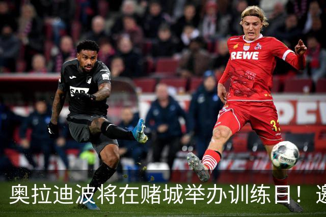 奥拉迪波将在赌城举办训练日！邀请NBA&CBA教练及高层验货