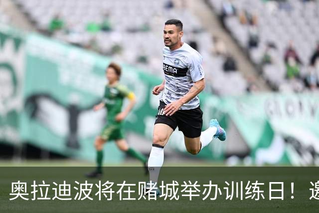 奥拉迪波将在赌城举办训练日！邀请NBA&CBA教练及高层验货