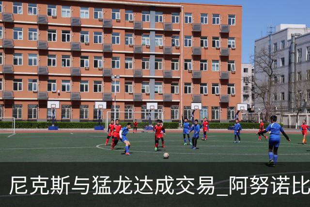 尼克斯与猛龙达成交易 阿努诺比与巴雷特互换