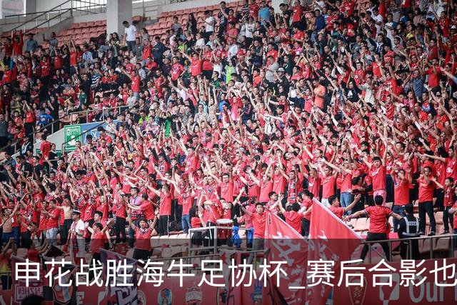 申花战胜海牛足协杯 赛后合影也是见到盖伊