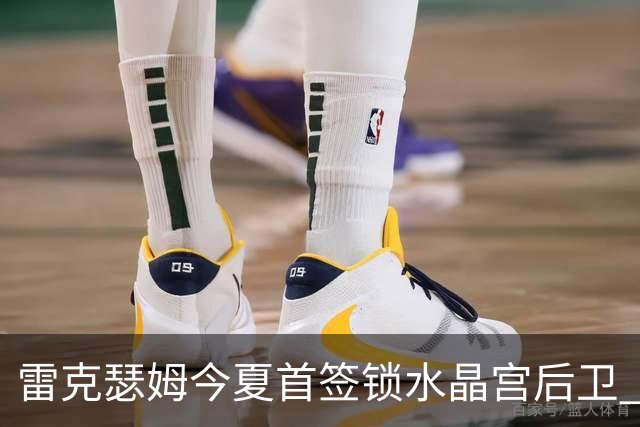 雷克瑟姆今夏首签锁水晶宫后卫 伊姆雷上季战平新东家