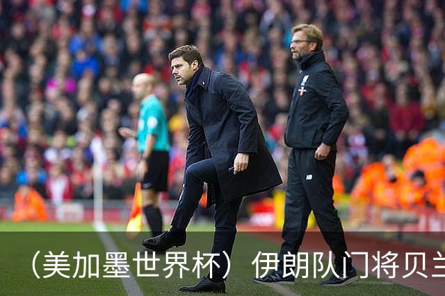 （美加墨世界杯）伊朗队门将贝兰万德的“满分”